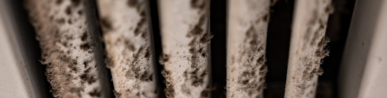Why Clean Your Air Ducts From an Air Duct Cleaning Company in Boca Raton, Coral Springs, Fort Lauderdale, Palm Beach, Parkland, Pompano Beach